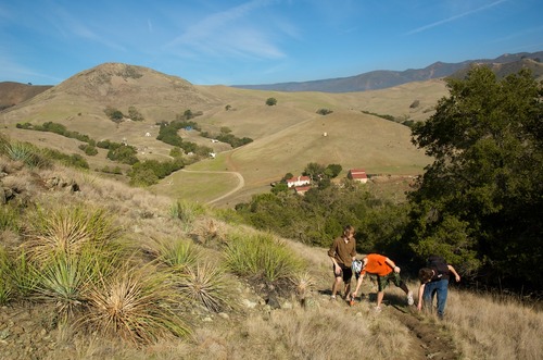 View from the hill